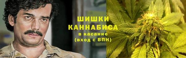 амф Верхний Тагил