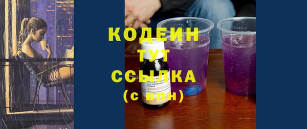 амф Верхний Тагил