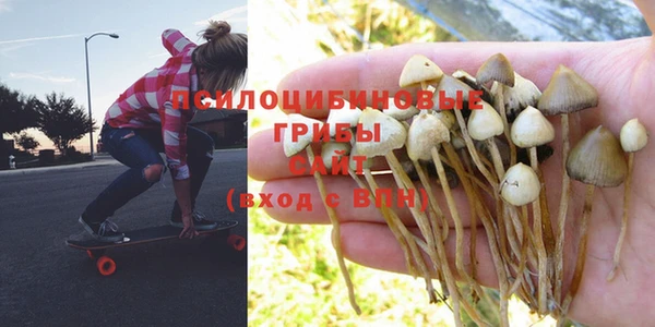 мет Бронницы