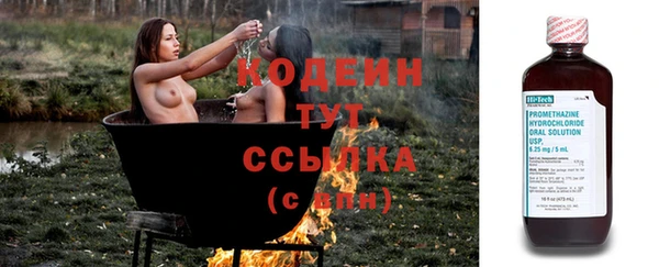 соль ск Бородино