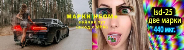 соль ск Бородино